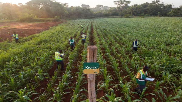 Quality Assurance & Grading — Kronix Agri