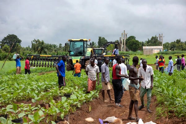 Agriculture & Agribusiness — Kronix Energy