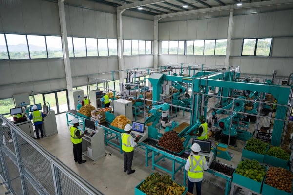 Agro-Processing — RoboHub Africa