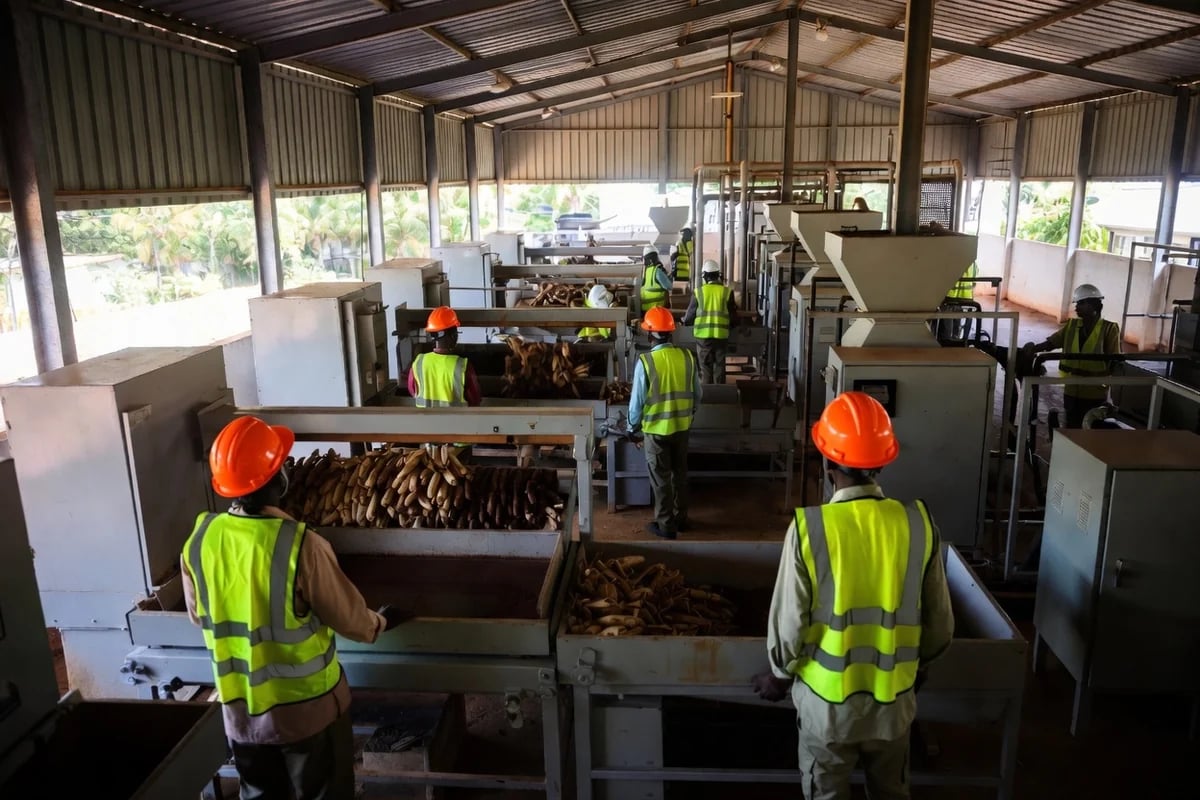 Agro-Processing