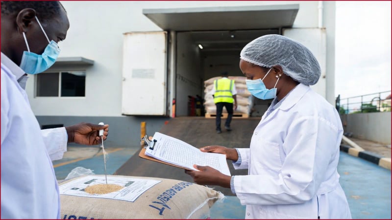 Structured commodity supply for a food-processing operation — Greater Accra, Ghana — Kronix Agri