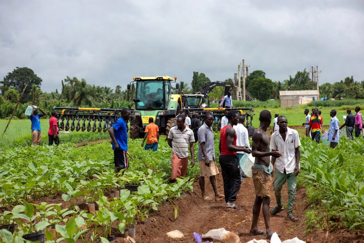 Industrial fuel solutions across Ghana and the Lomé corridor — sector agriculture agribusiness ghana kronixenergy, Accra Ghana