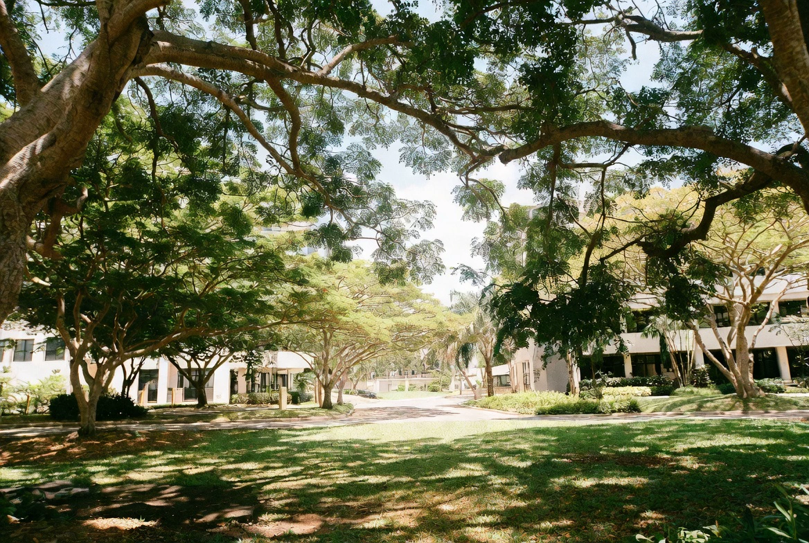 Corporate campus landscape and hardscape in Airport City, Accra