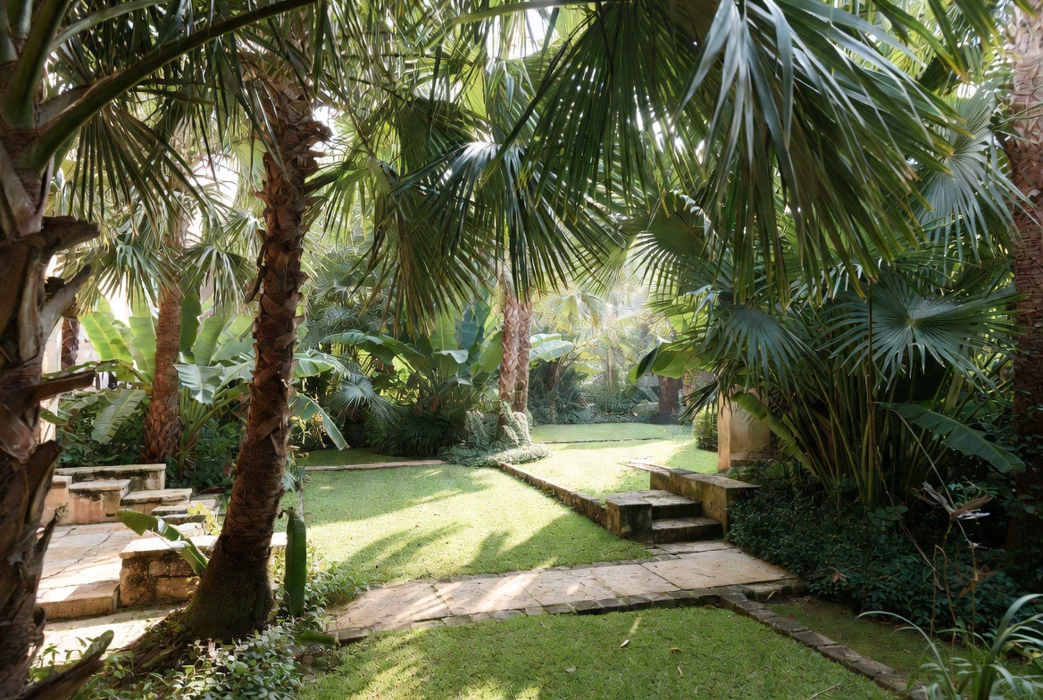Designed and built estate garden with mature planting and hardscape in Accra