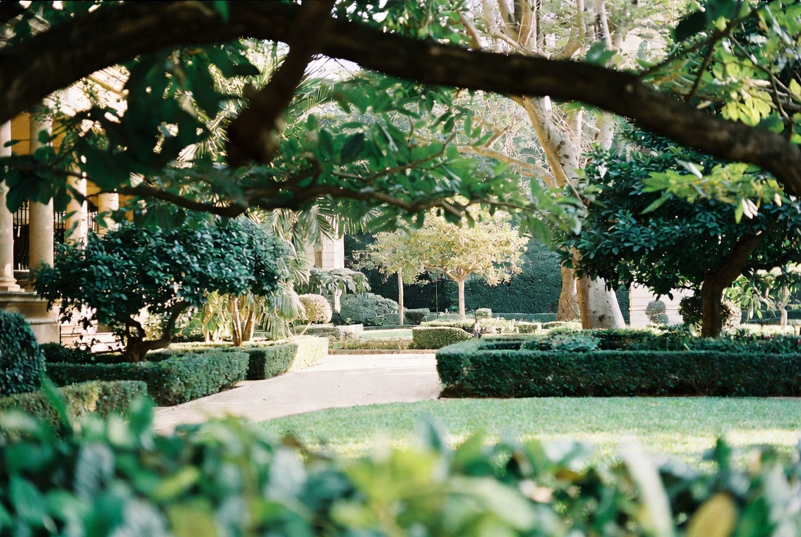 Institutional heritage grounds and landscape in Accra